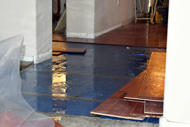 Professional Burst Pipe Cleanup technician working in Levan, UT